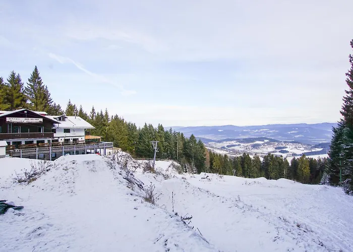 Charmante Ferienwohnung Mit Sauna Und Schwimmbad Im Zauberhaften Bayerischen Wald