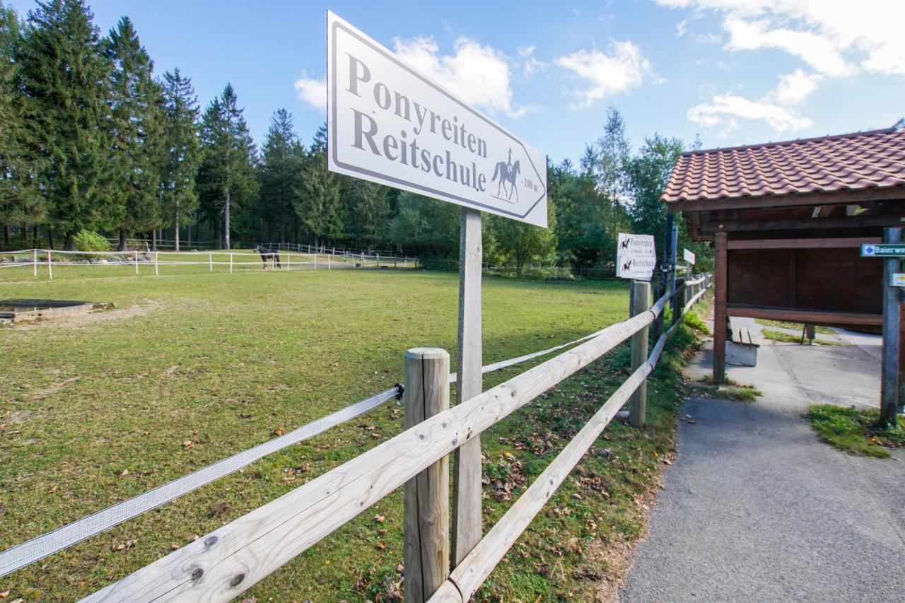 Apartment Charmante Mit Sauna Und Schwimmbad Im Zauberhaften Bayerischen Wald *